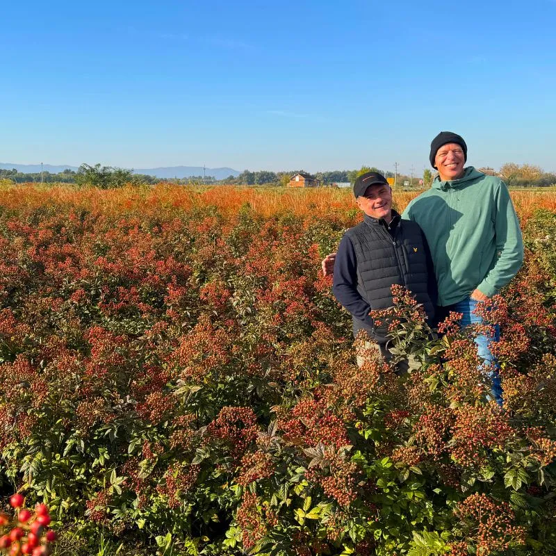 Erik Stockman from Rosefruit and Coloriginz
