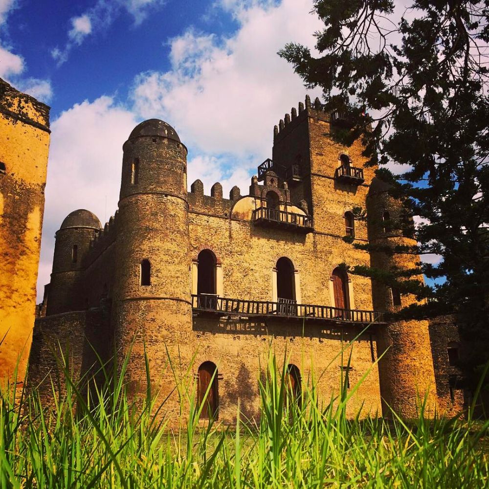 Ethiopia - Where Flowers Meet Ancient Marvels