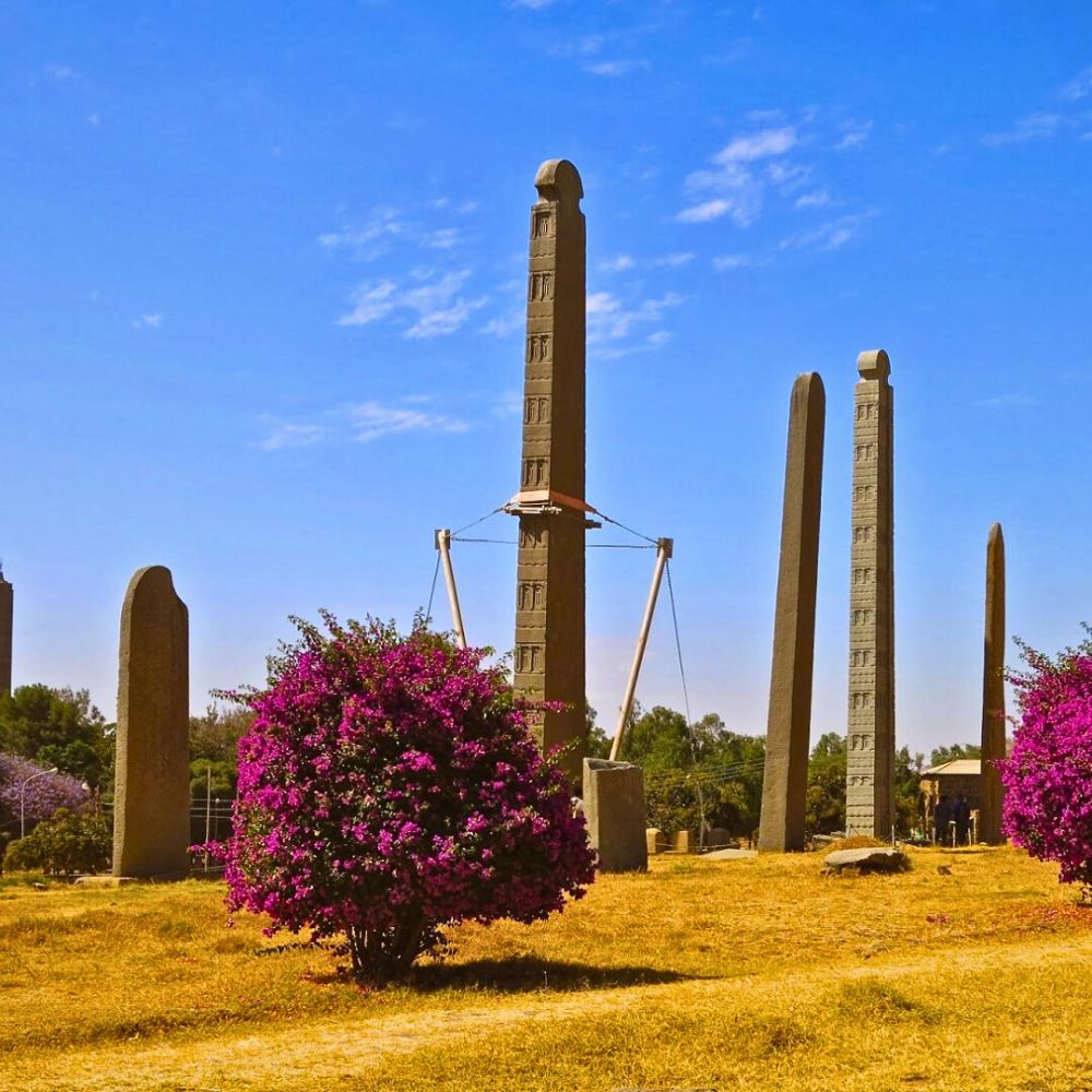 Ethiopia - Where Flowers Meet Ancient Marvels