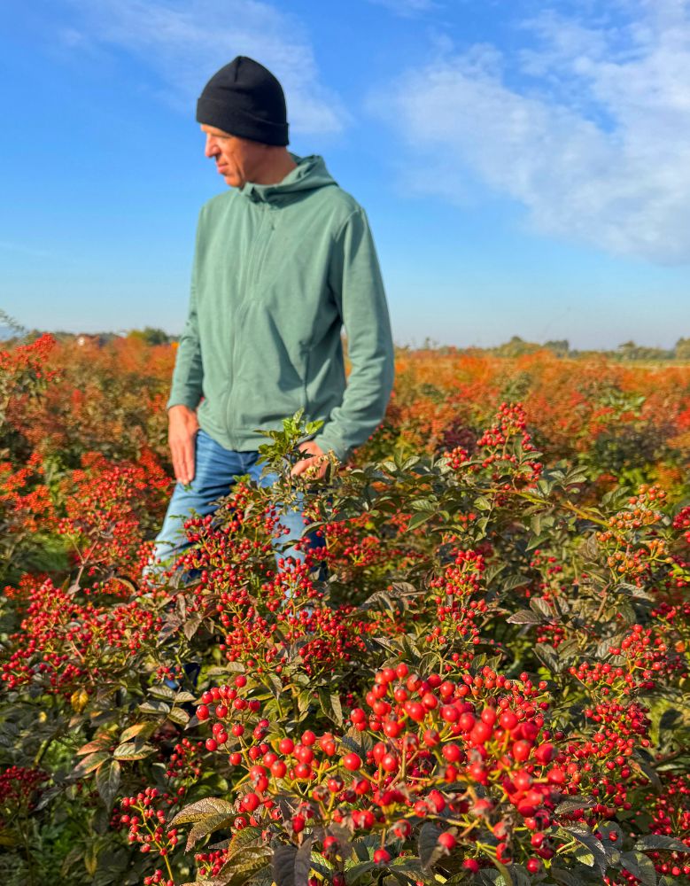 Erik Stockman from Rosefruits with Rosehip Erik Stockman from Rosefruits with Rosehip