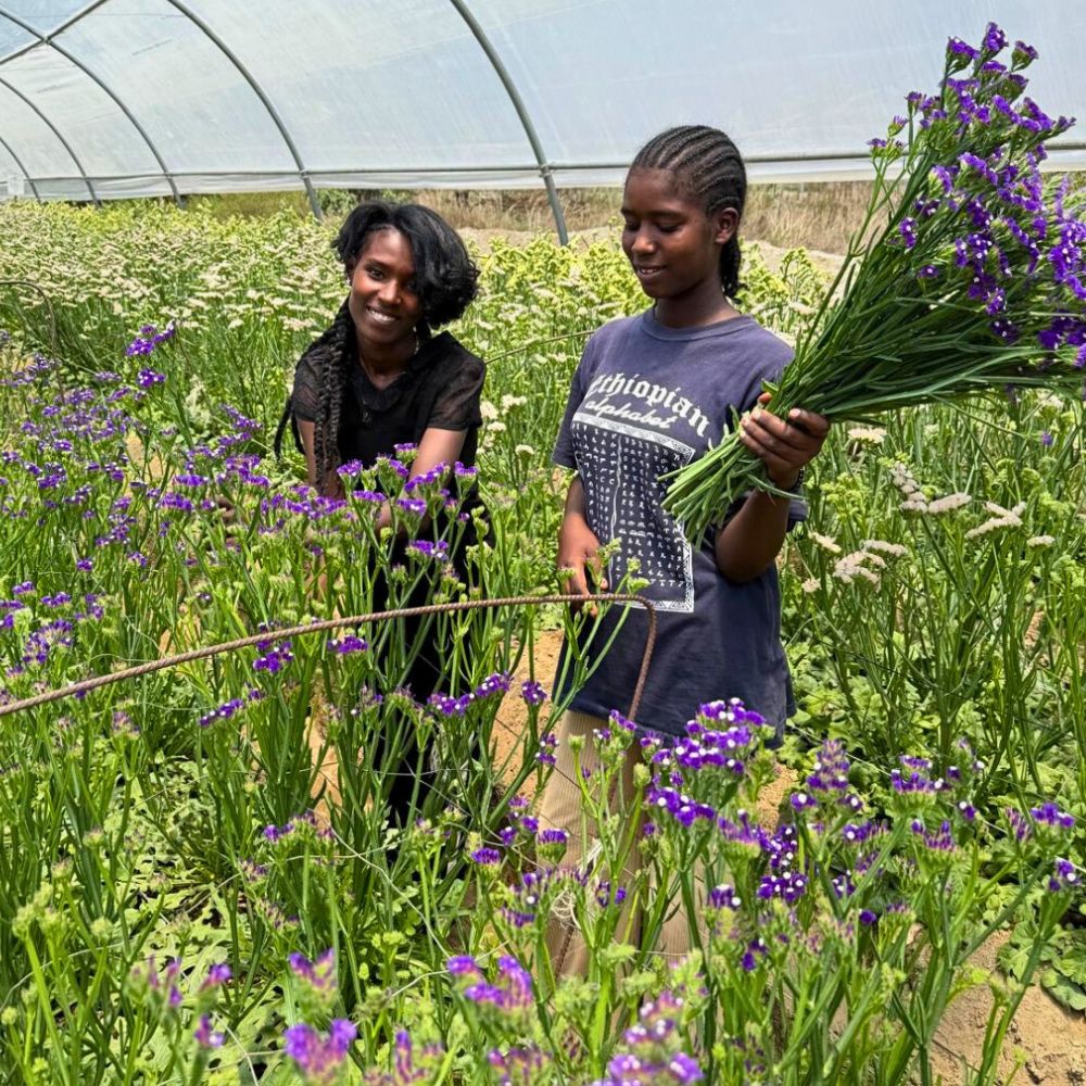 Ethiopia - Where Flowers Meet Ancient Marvels