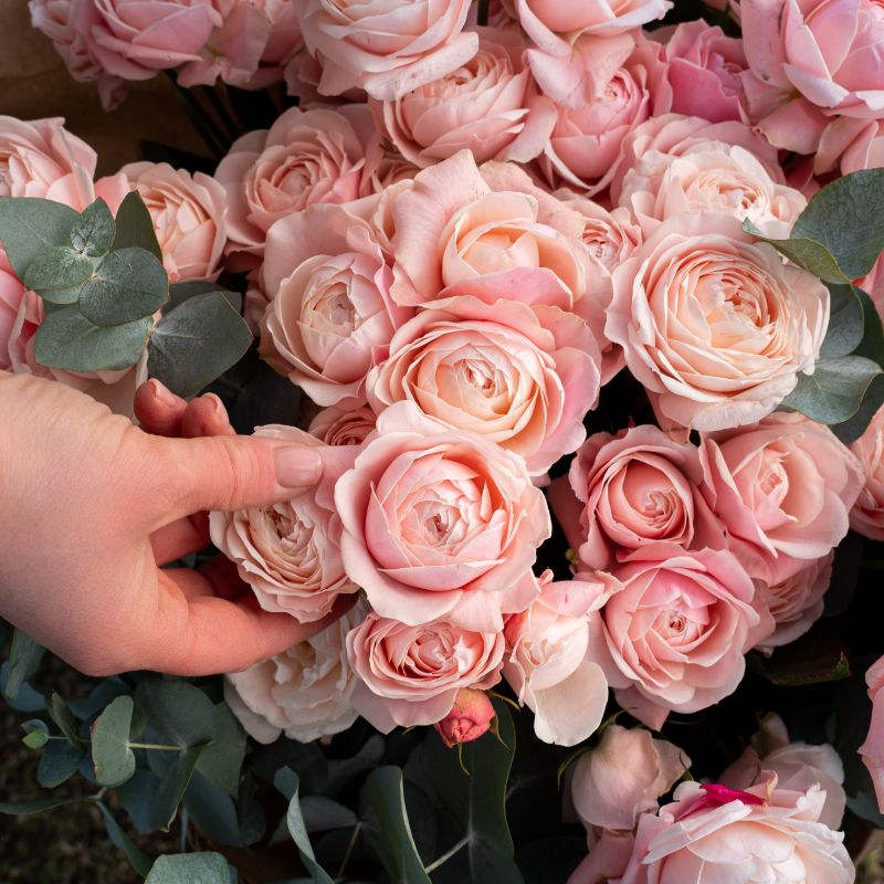 Bouquet with Rose Silva Sweet by Dummen Orange Bouquet with Rose Silva Sweet by Dummen Orange