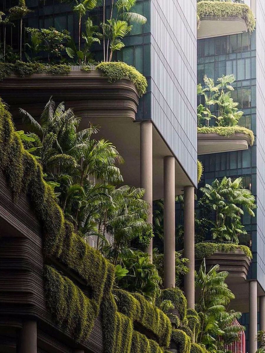 Green city AIPH Is Championing the Drive Toward Greener, Healthier Cities