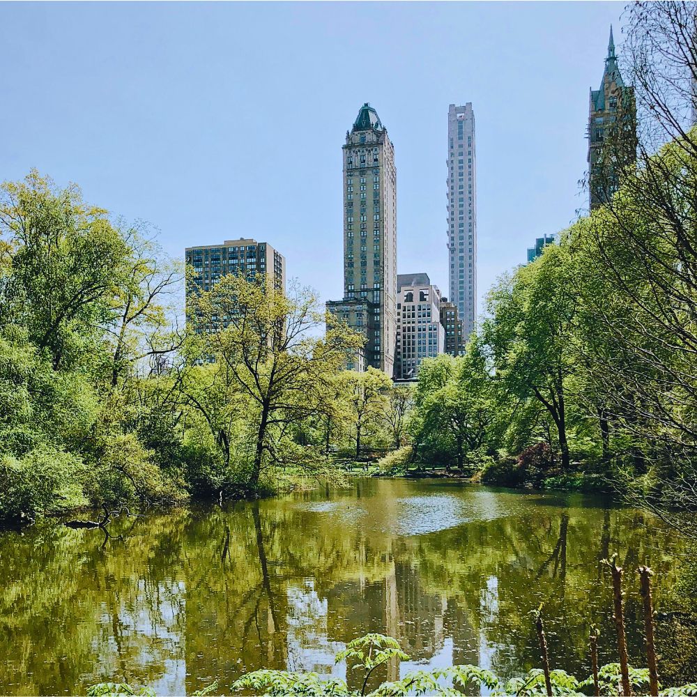 A green urban space How AIPH Is Championing the Drive Toward Greener, Healthier Cities