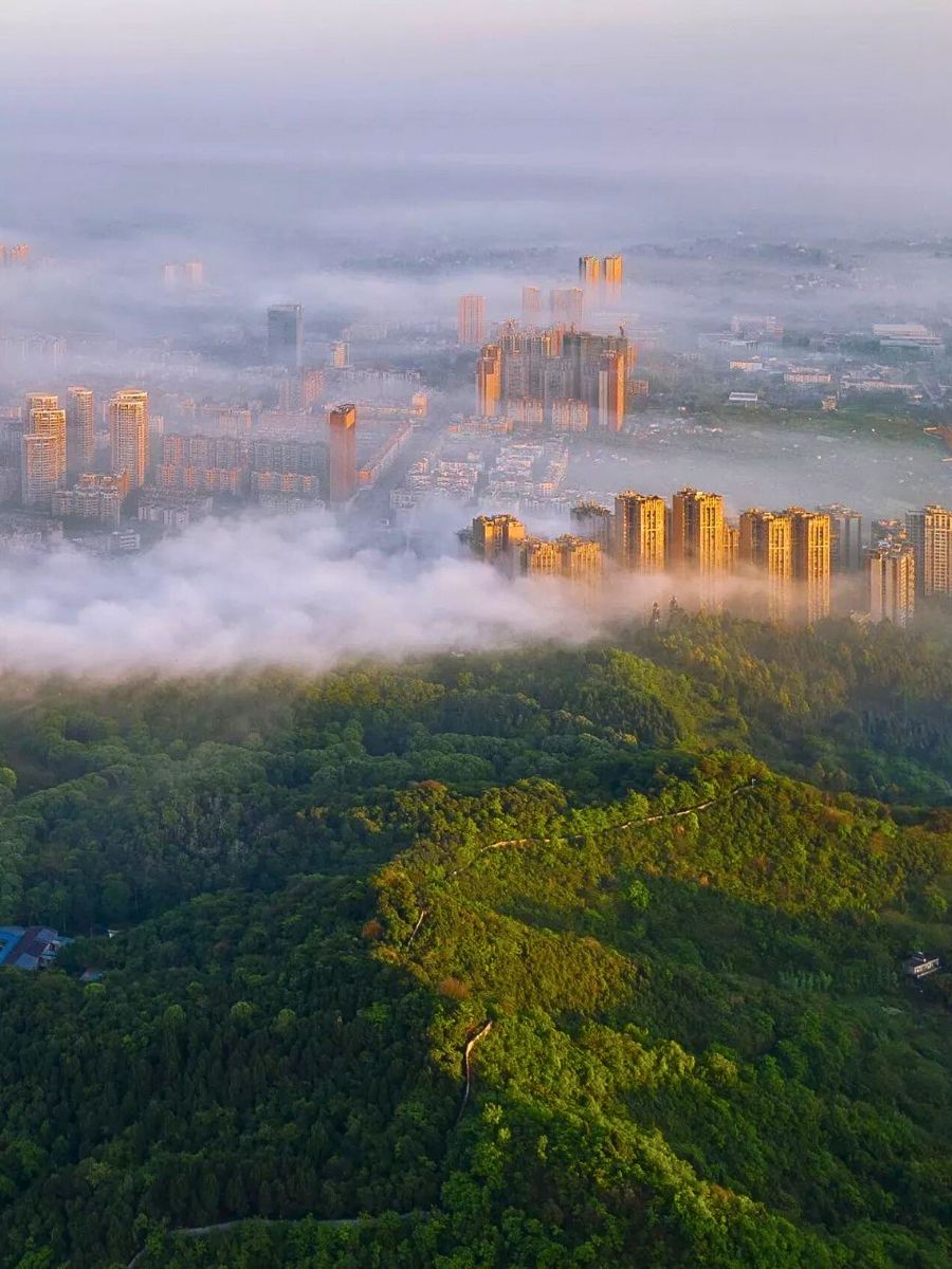 City of Chengdu AIPH Is Championing the Drive Toward Greener, Healthier Cities