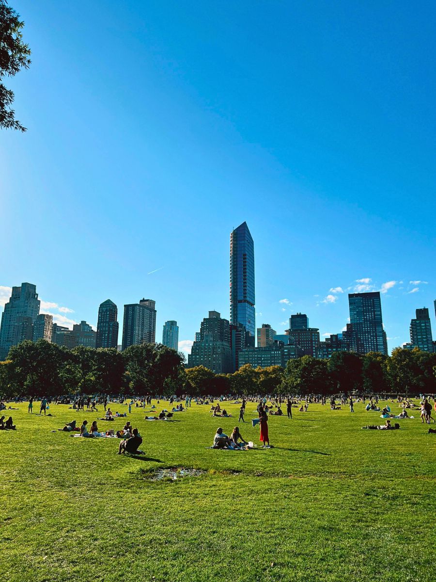 An urban green space AIPH Is Championing the Drive Toward Greener, Healthier Cities