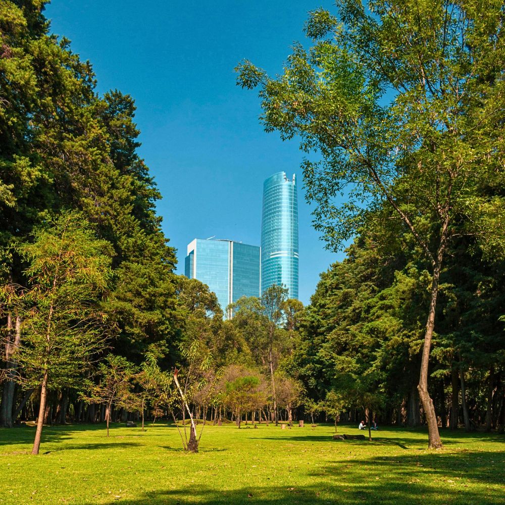 Green urban spaces How AIPH Is Championing the Drive Toward Greener, Healthier Cities