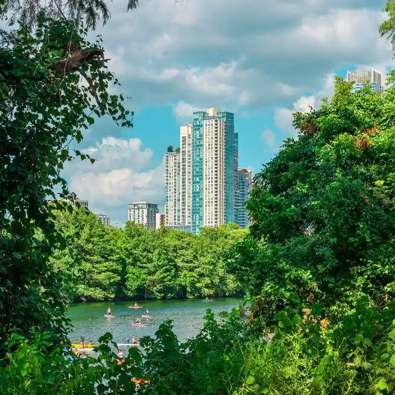 How AIPH Is Championing the Drive Toward Greener, Healthier Cities - Thursd Article