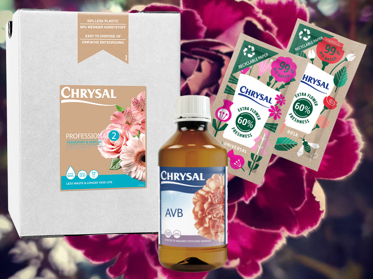 Chrysal Dianthus Solutions Chrysal Dianthus Solutions