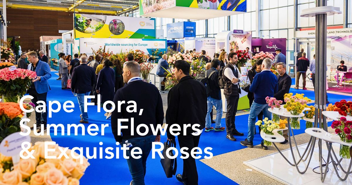 Import Promotion Desk (IPD) Set to Showcase Exquisite Varieties From Their Partner Farms in Kenya, Colombia, Ecuador, South Africa and Others at the 2025 IFTF - Thursd Article