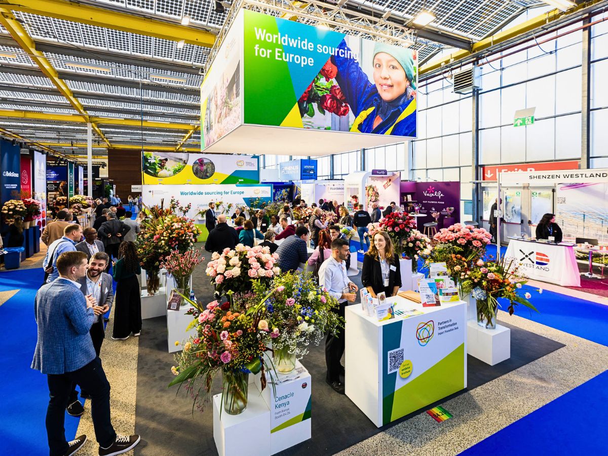IPD at the IFTF Import Promotion Desk (IPD) Set to Showcase Exquisite Varieties From Their Partner Farms in Kenya, Colombia, Ecuador, South Africa and Others at the 2025 IFTF - Thursd Article