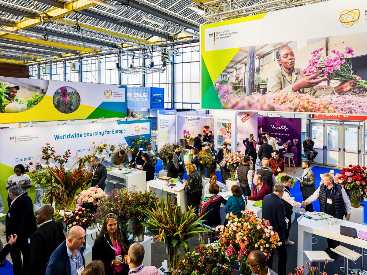 Import Promotion Desk (IPD) Set to Showcase Exquisite Varieties From Their Partner Farms in Kenya, Colombia, Ecuador, South Africa and Others at the 2025 IFTF - Thursd Article