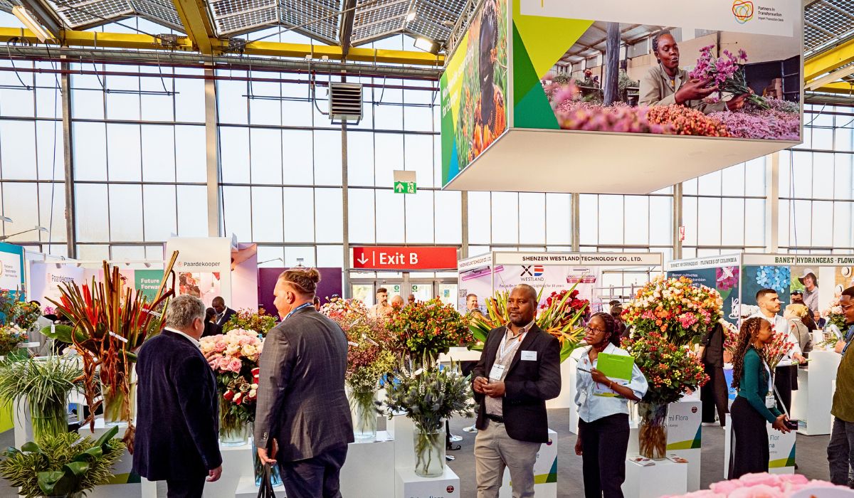 IPD at the IFTF Import Promotion Desk (IPD) Set to Showcase Exquisite Varieties From Their Partner Farms in Kenya, Colombia, Ecuador, South Africa and Others at the 2025 IFTF - Thursd Article