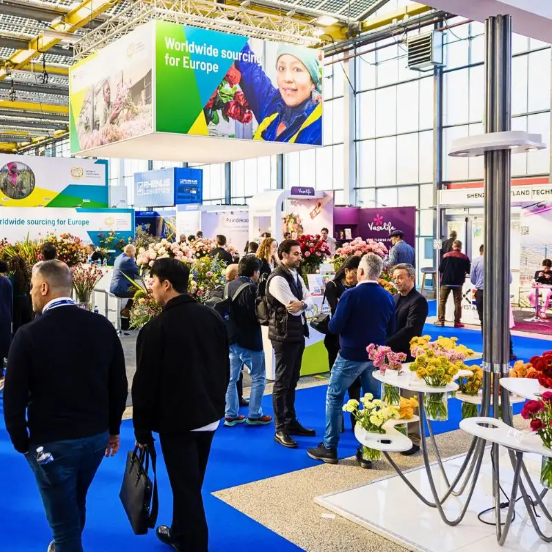Import Promotion Desk (IPD) Set to Showcase Exquisite Varieties From Their Partner Farms in Kenya, Colombia, Ecuador, South Africa and Others at the 2025 IFTF - Thursd Article