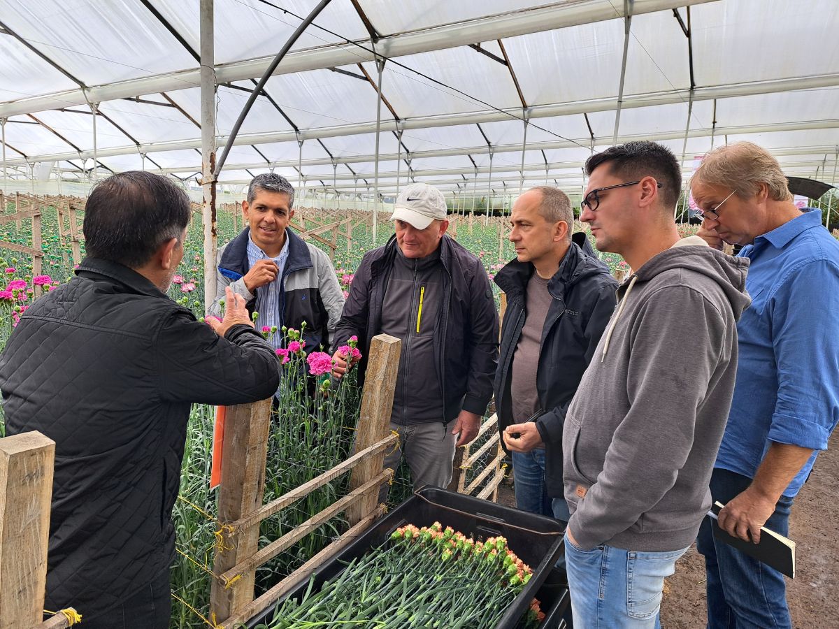 IPD trip to Colombia On the Road With the Import Promotion Desk (IPD) to the Flower Country of Colombia - Thursd Article
