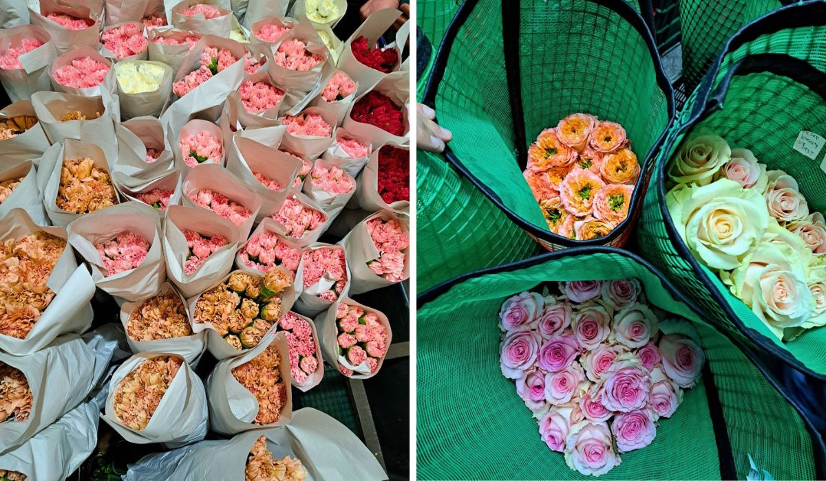 Flowers from Colombia On the Road With the Import Promotion Desk (IPD) to the Flower Country of Colombia - Thursd Article