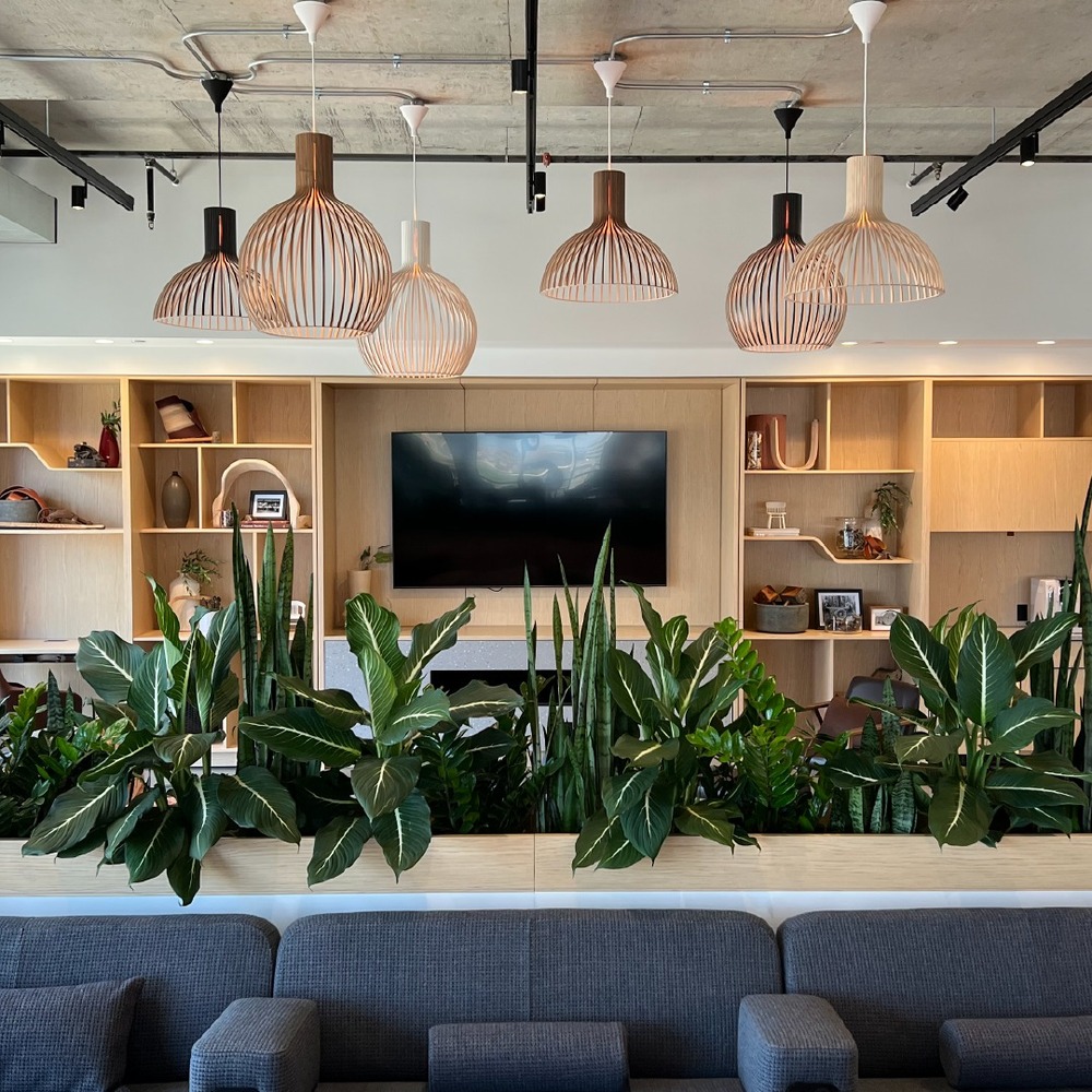 Modern office lounge biophilic design Modern office lounge biophilic design