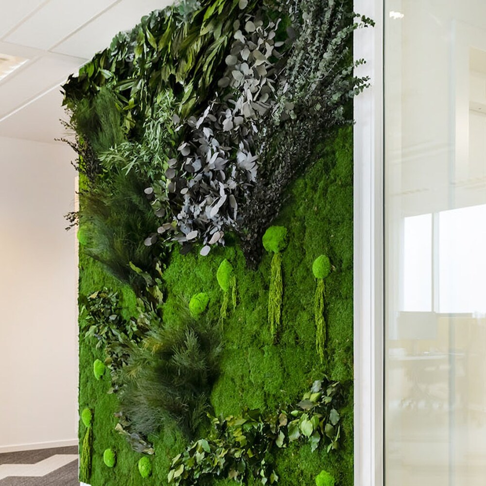 Green interior with abundant natural light Green interior with abundant natural light