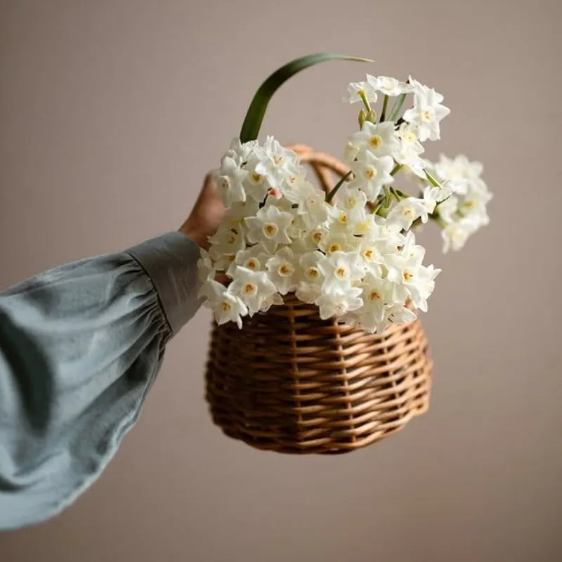 Narcissus Paperwhite by .Yukiko