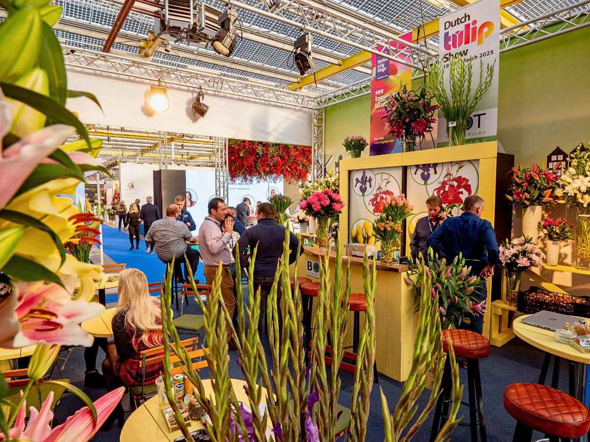 The Floral World Meets at IFTF 2025, You Should Be Part of This Gathering - Thursd Article
