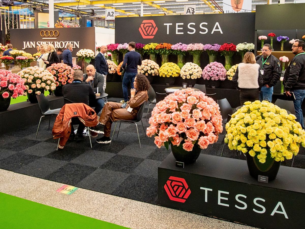 Tessa at the IFTF Floral World Meets at IFTF 2025, You Should Be Part of This Gathering