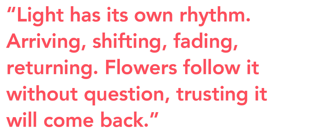 Johanne Lykke Winter Windows quote