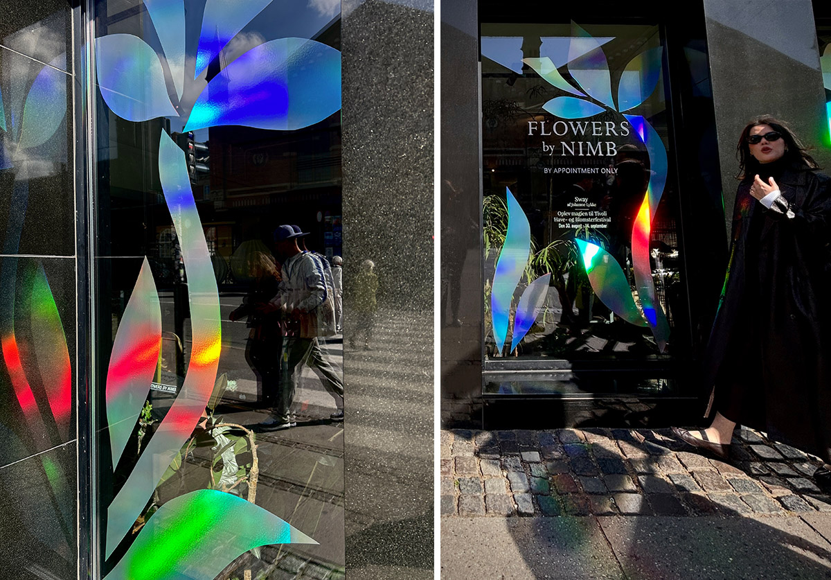 Johanne Lykke Windows rainbow reflections