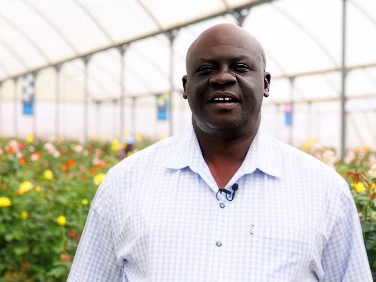 Fred Okinda in roses show greenhouse Fred Okinda in roses show greenhouse