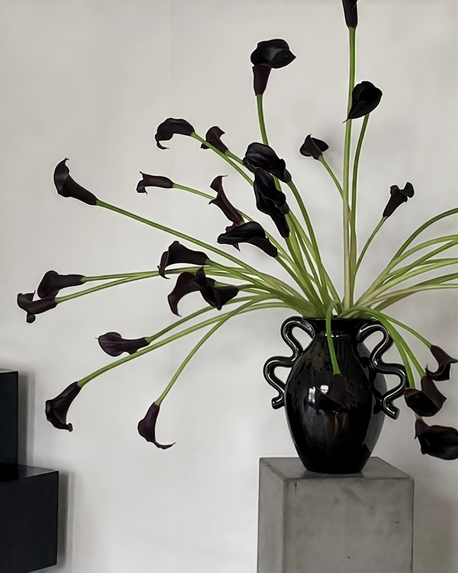 Dark purple callas in a vase by @vesselfloralevents Dark purple callas in a vase by @vesselfloralevents