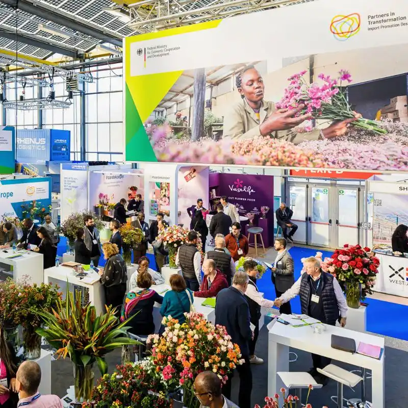 Import Promotion Desk (IPD) Set to Showcase Exquisite Varieties From Their Partner Farms in Kenya, Colombia, Ecuador, South Africa and Others at the 2025 IFTF - Thursd Article