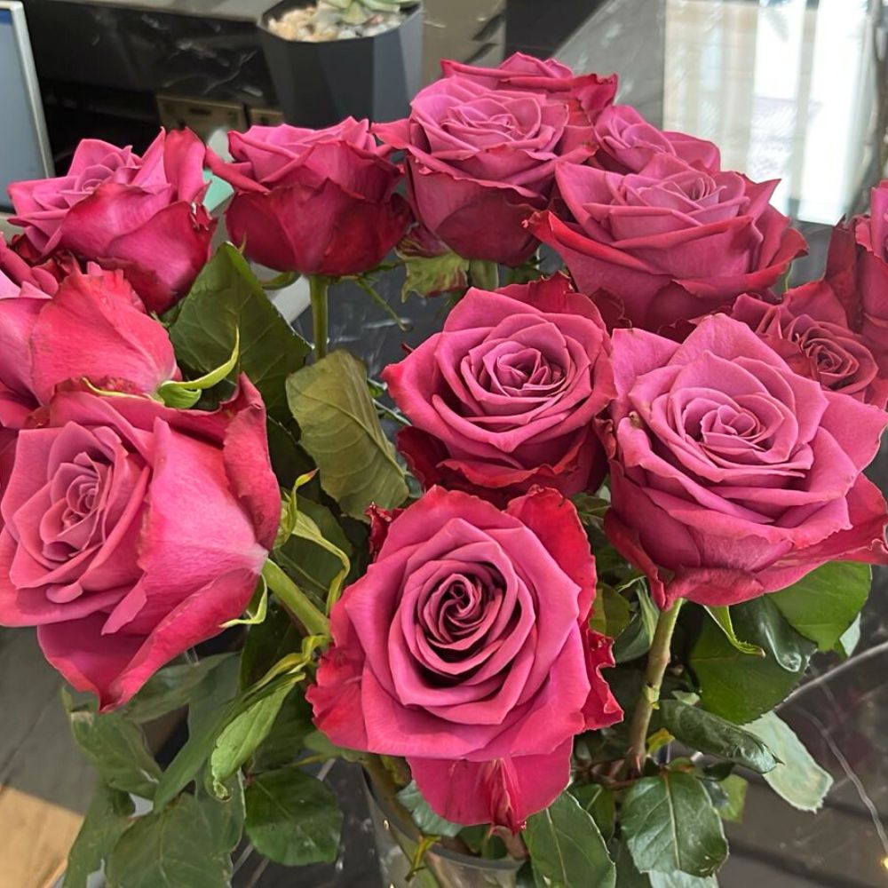 Rose Inevitable® 10 Questions to Fred Okinda