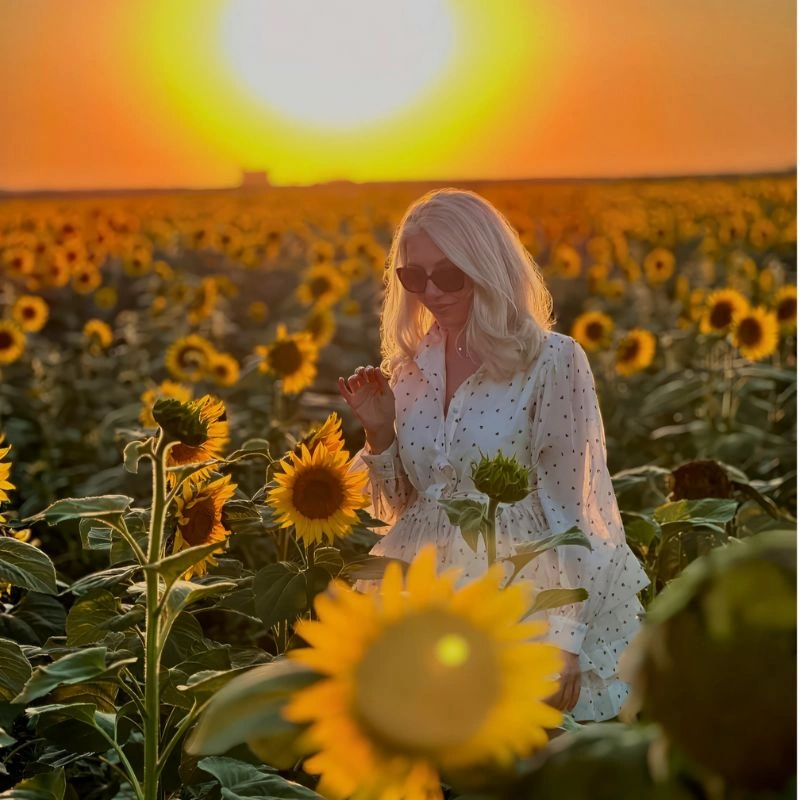 Sunflower meaning and symbolism