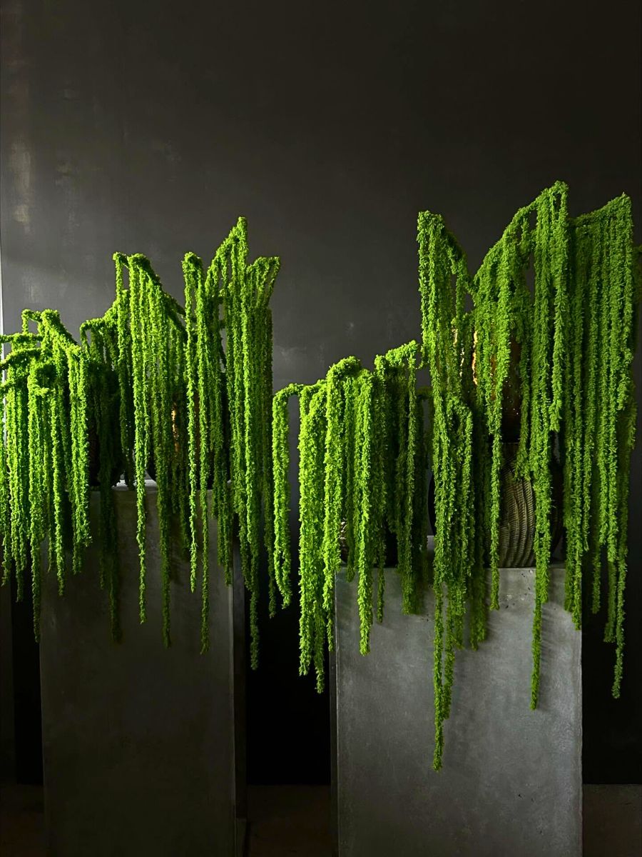 Floral artistry by @yunuskarma