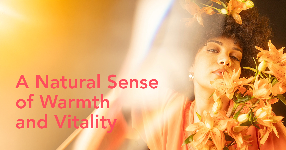 Orange Flower Meaning - Thursd Article header image