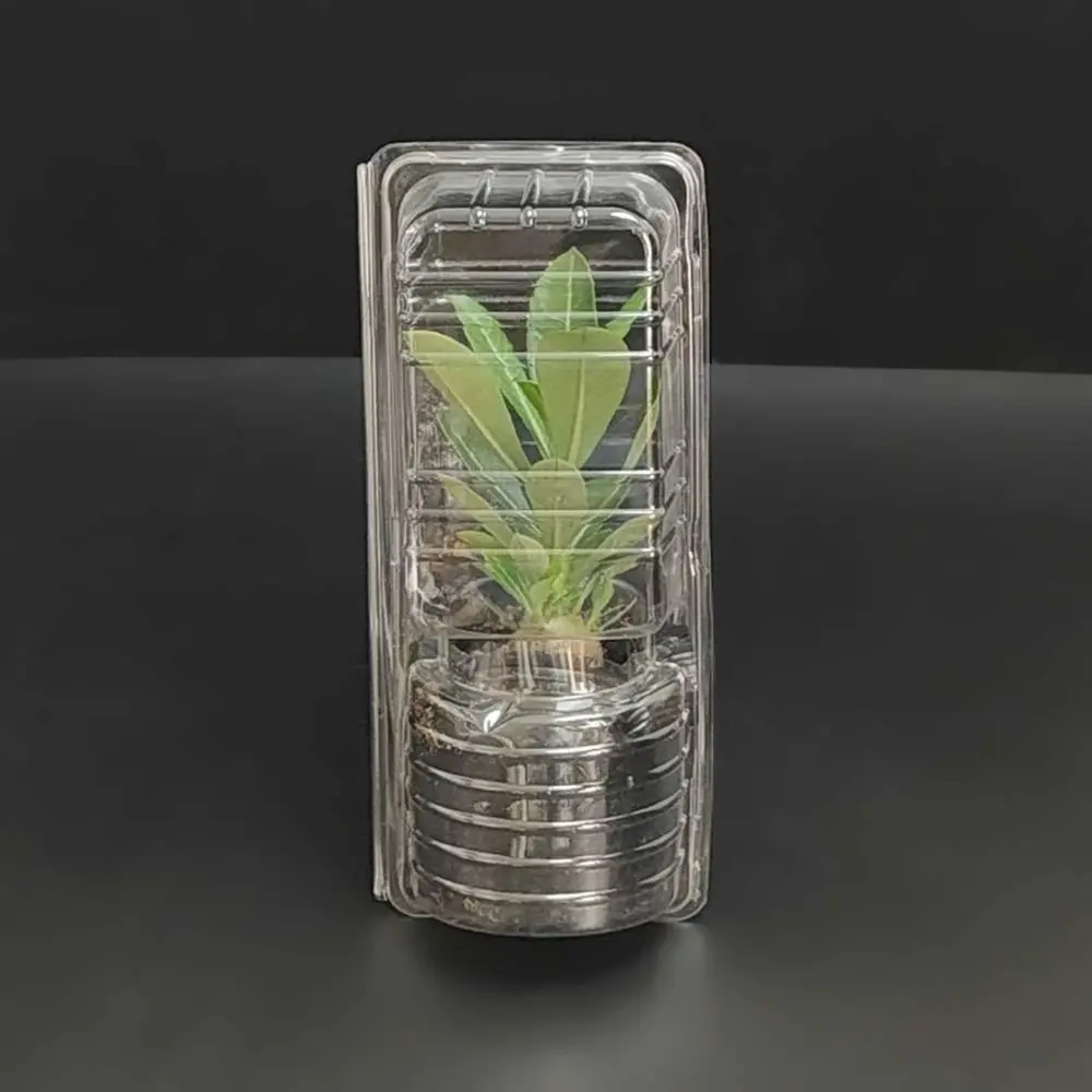 Plastic plant packaging Plastic plant packaging