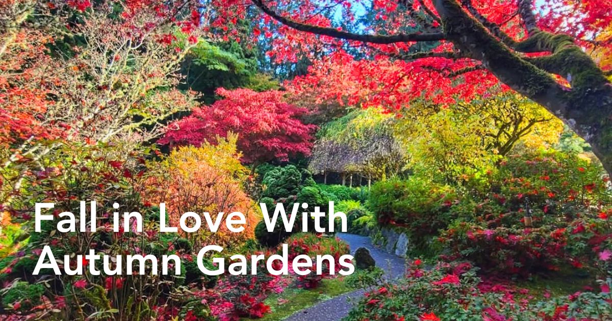 Gardens Where You Can Experience Fall's Floral Spectacle