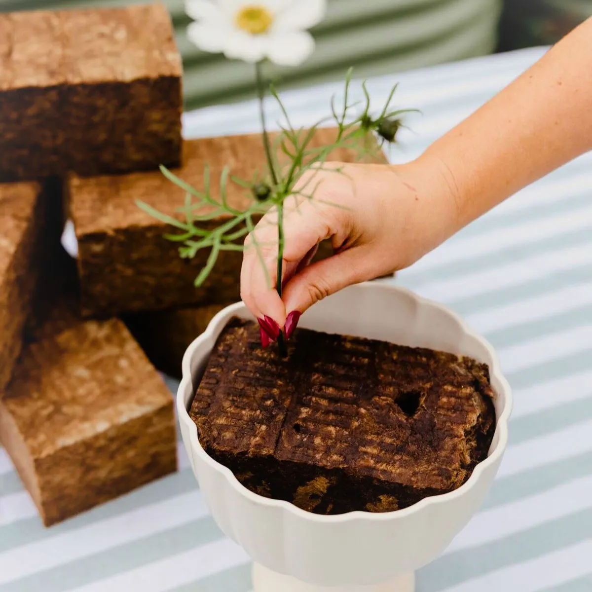 No Plastic Floral Foam Cutting Sideau Floral Block