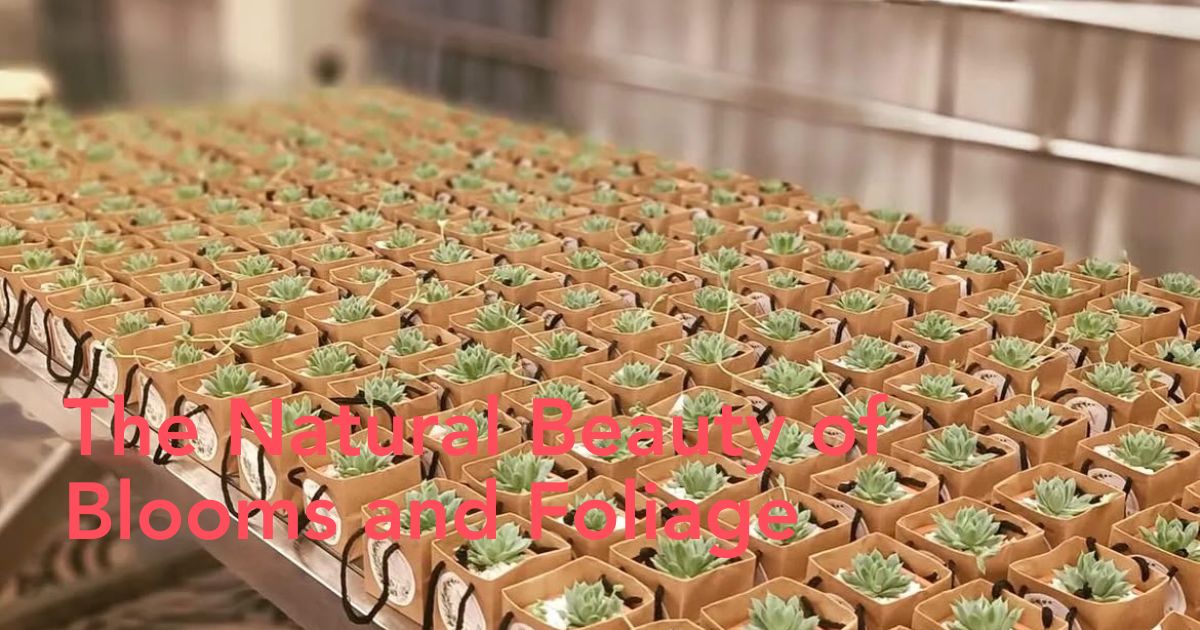 Plant Packaging - Header Image