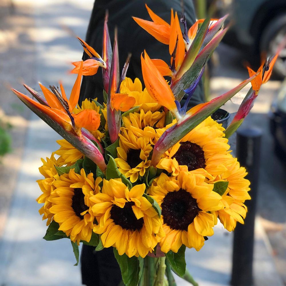 A mixed bouquet featuring sunflowers and Bird of Paradise Sunflower meaning