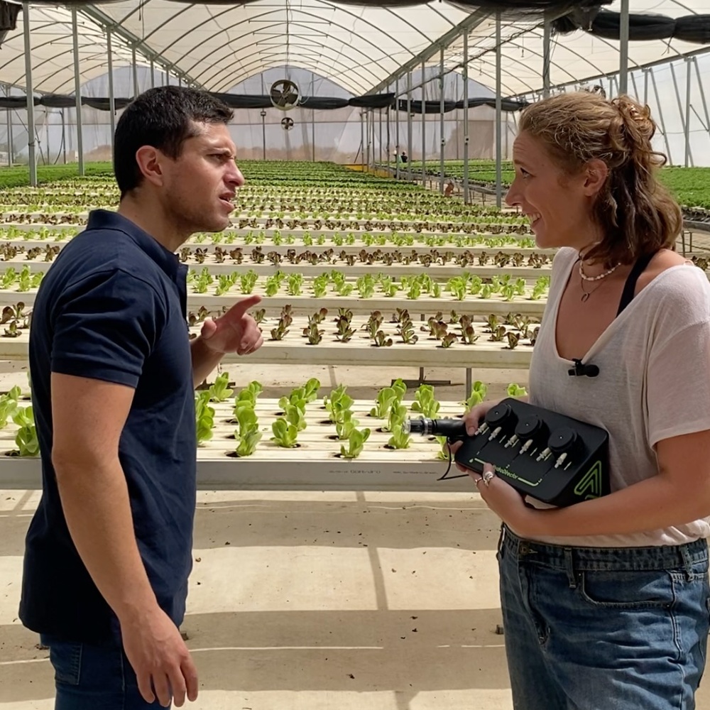 Growers discussing tech in hydroponic greenhouse Growers discussing tech in hydroponic greenhouse