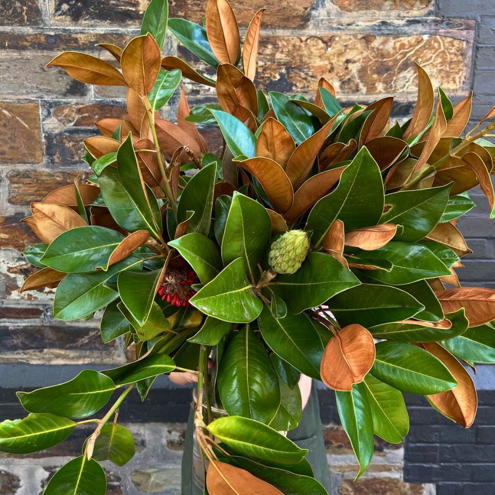 Fillers for a bouquet