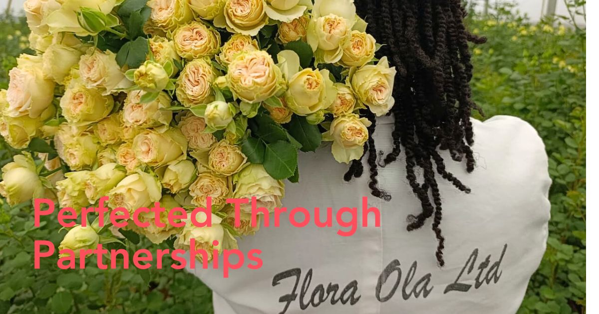 World of Spray Roses