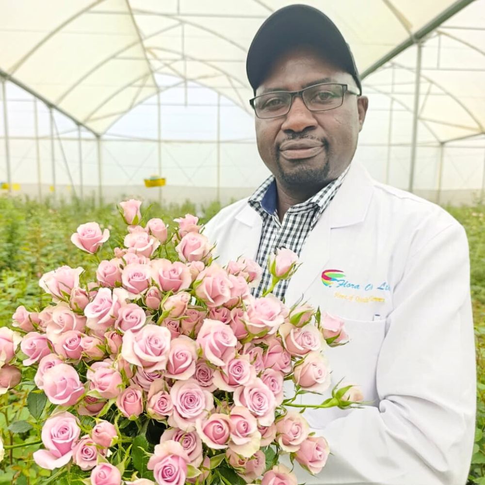 World of Spray Roses