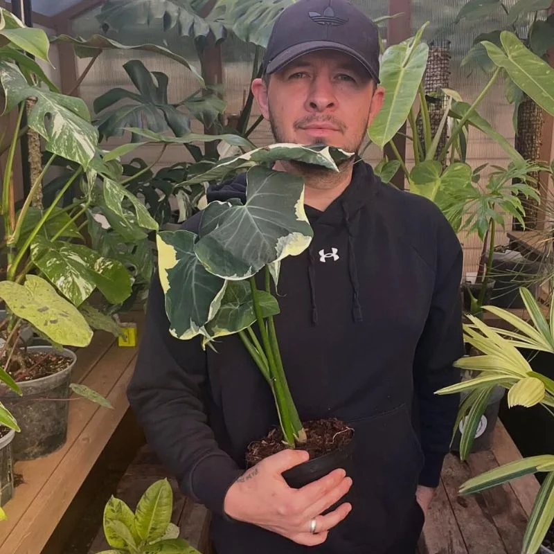 Smart Greenhouse Technology Upgrades Feature Image