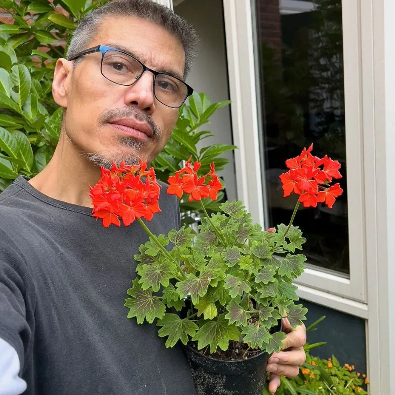 Scorpio zodiac flowers geranium and hibiscus square feature image