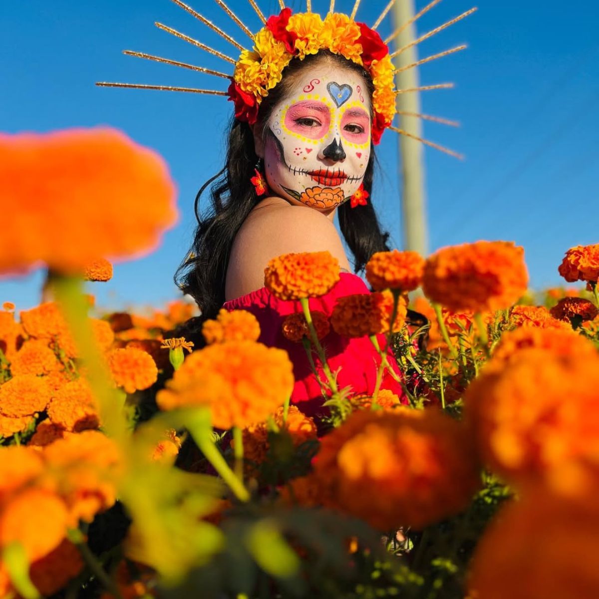 Girl in a field of marigolds