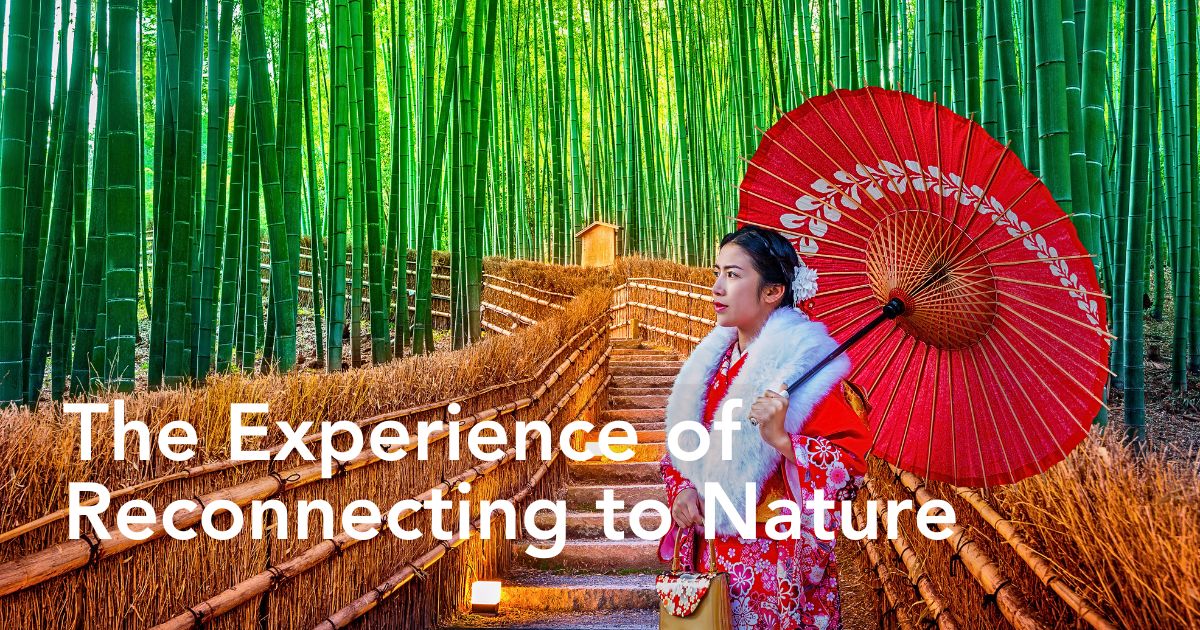 Arashiyama Bamboo Grove in Kyoto, Japan Reconnects You to Nature and Well-Being - Thursd Article.
