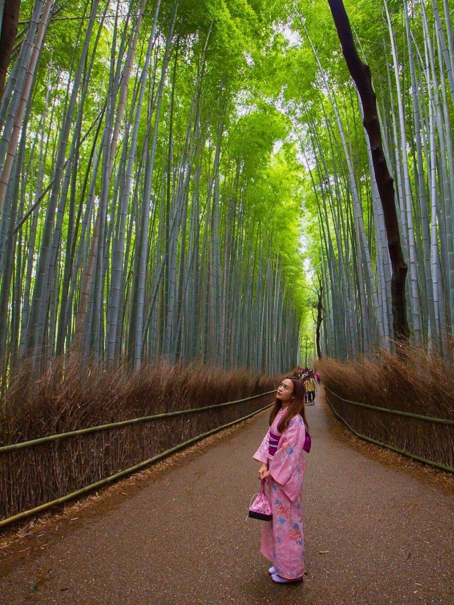 Arashiyama Bamboo Grove Arashiyama Bamboo Grove in Kyoto, Japan Reconnects You to Nature and Well-Being - Thursd Article.