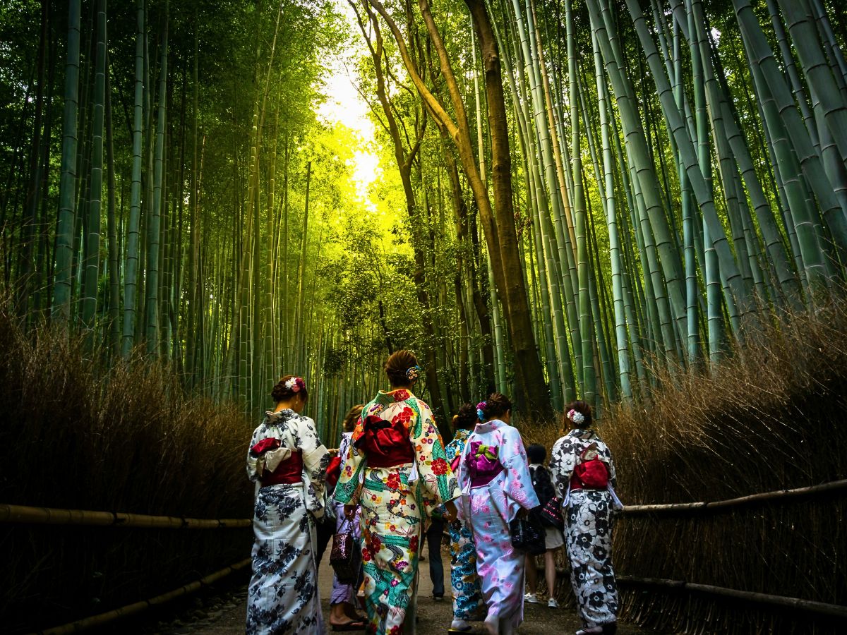 Arashiyama Bamboo Grove. Arashiyama Bamboo Grove in Kyoto, Japan Reconnects You to Nature and Well-Being - Thursd Article.