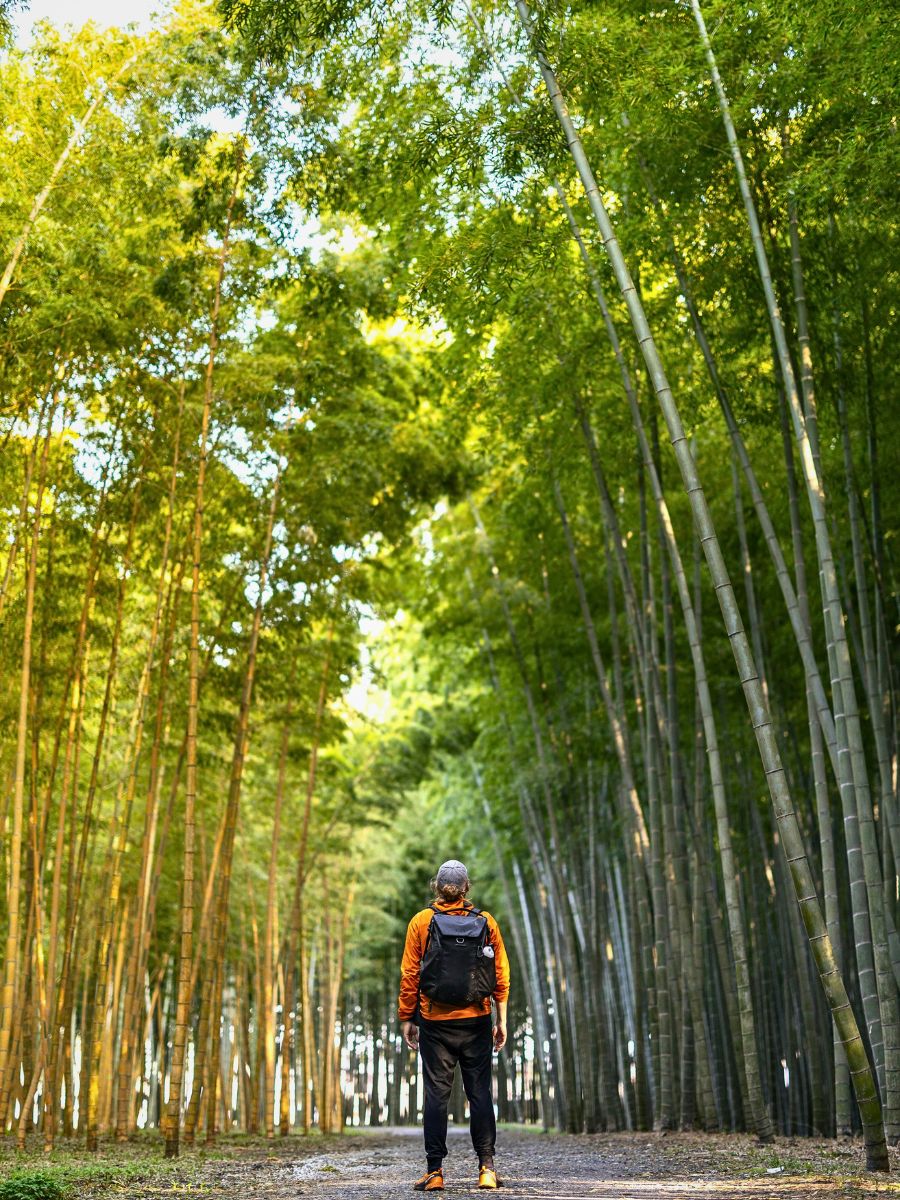 Arashiyama Bamboo Grove. Arashiyama Bamboo Grove in Kyoto, Japan Reconnects You to Nature and Well-Being - Thursd Article.